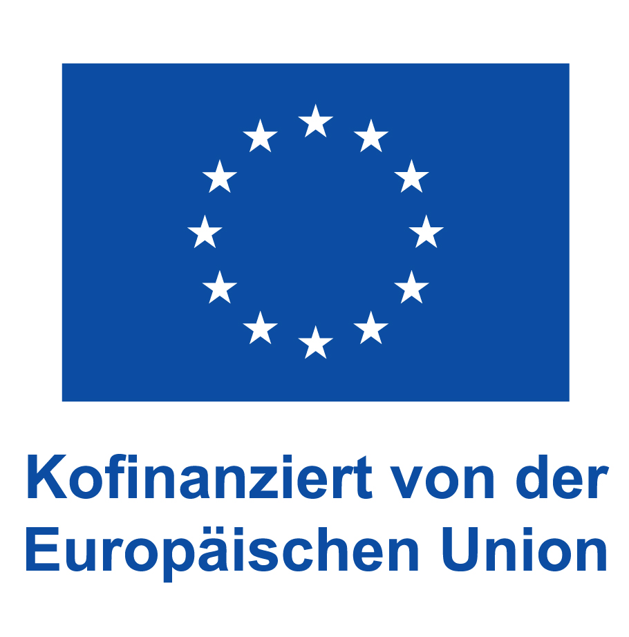 DE V Kofinanziert von der Europischen Union PANTONE